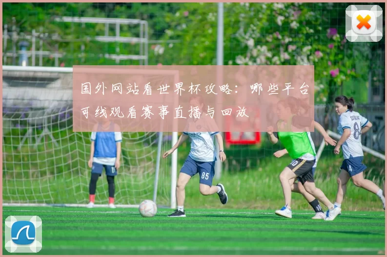 国外网站看世界杯攻略：哪些平台可线观看赛事直播与回放