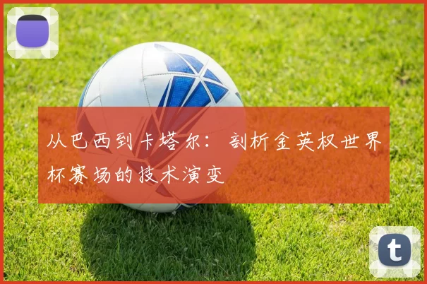 从巴西到卡塔尔:剖析金英权世界杯赛场的技术演变