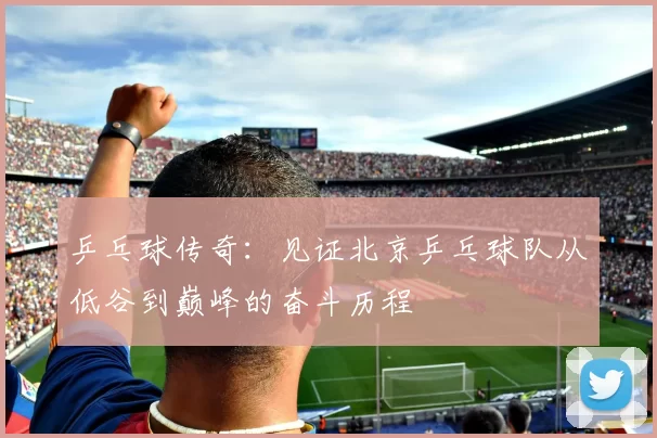 乒乓球传奇:见证北京乒乓球队从低谷到巅峰的奋斗历程