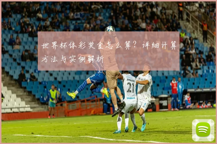 世界杯体彩奖金怎么算?详细计算方法与实例解析