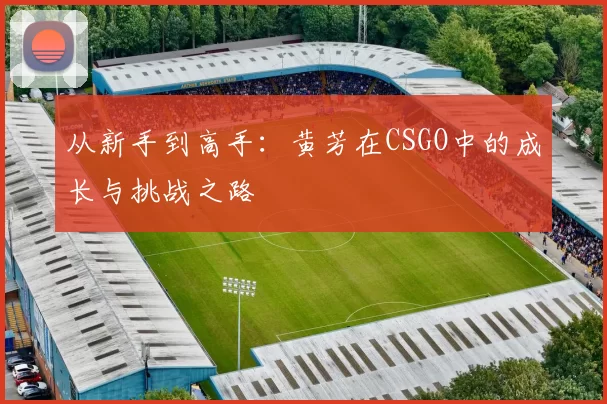 从新手到高手:黄芳在CSGO中的成长与挑战之路