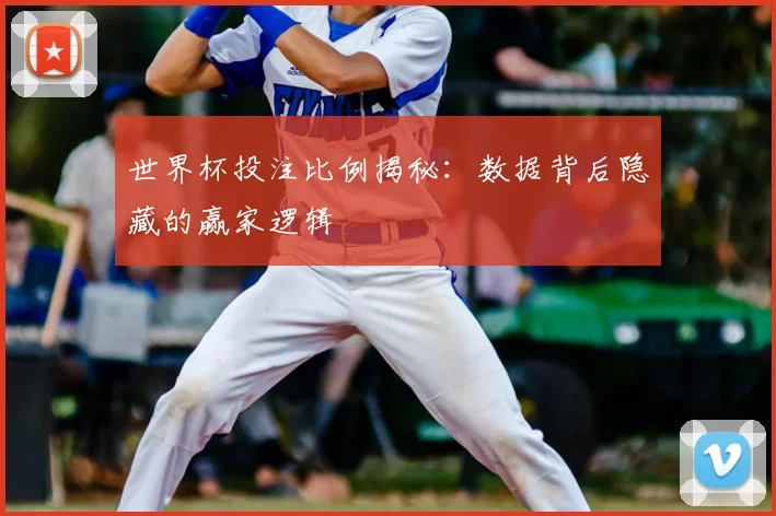 世界杯投注比例揭秘:数据背后隐藏的赢家逻辑
