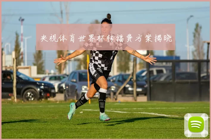 央视体育世界杯转播费方案揭晓