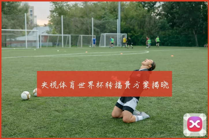 央视体育世界杯转播费方案揭晓