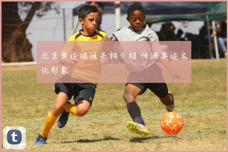 北京奥运福娃亮相介绍 传递奥运文化形象