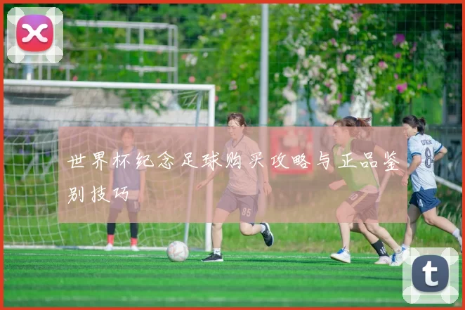 世界杯纪念足球购买攻略与正品鉴别技巧
