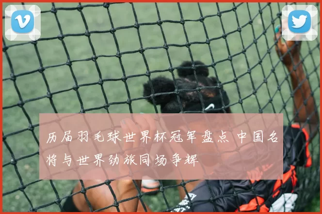 历届羽毛球世界杯冠军盘点 中国名将与世界劲旅同场争辉